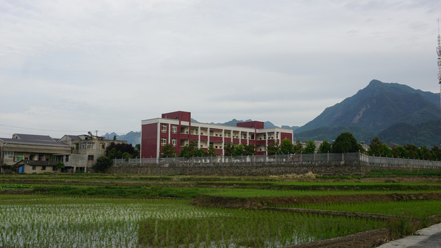 中峰中原小学