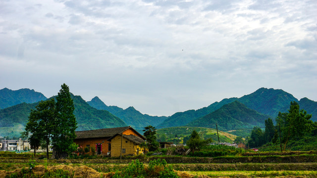 中峰中原六