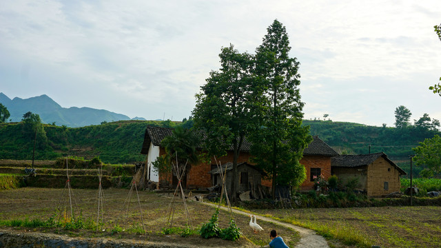 中峰中原五