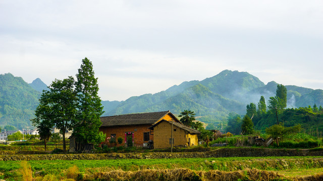 中峰中原一