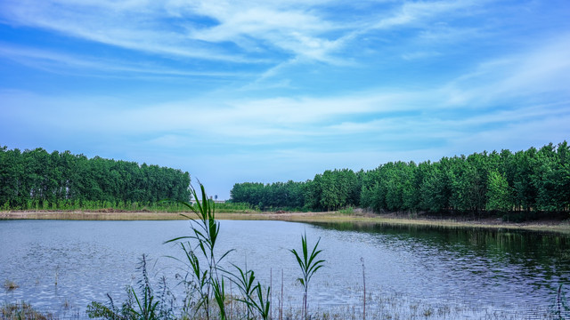 河边