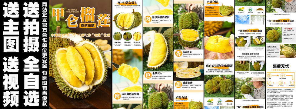 甲侖榴蓮詳情
