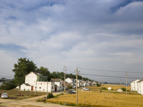 夏日苏北田园风光35