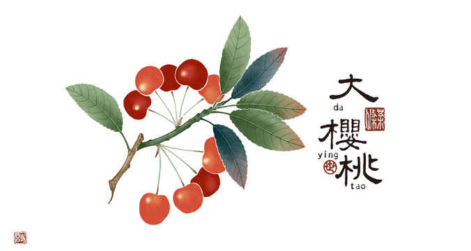 大櫻桃2