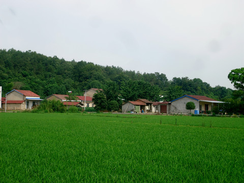 农村房屋