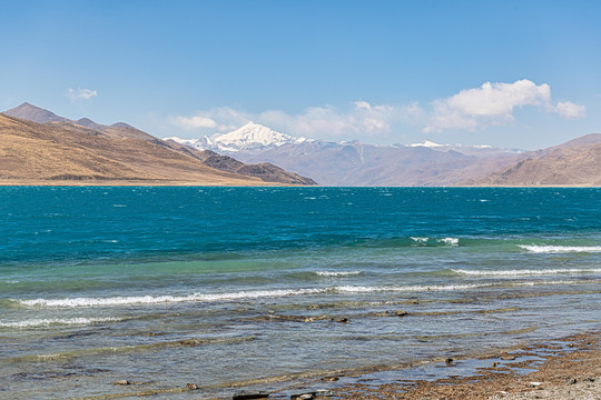 羊卓雍措湿地