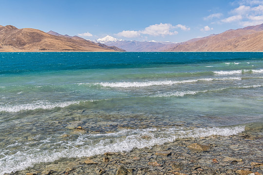 羊卓雍措湿地