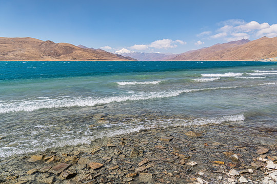 羊卓雍措湿地