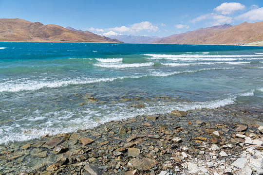 羊卓雍措湿地