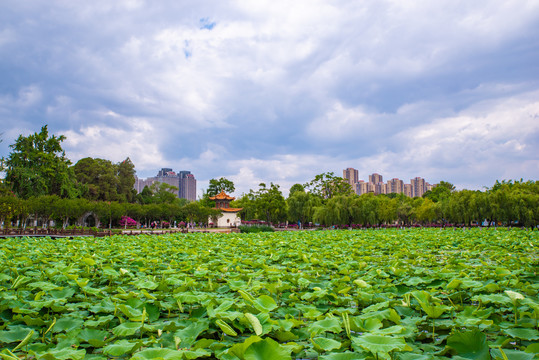 昆明大观楼公园