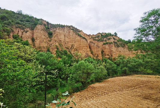 陕西延川梁家河淤地坝