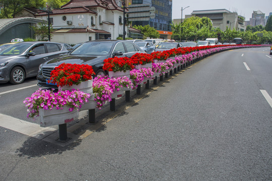 马路隔离栏花卉装饰