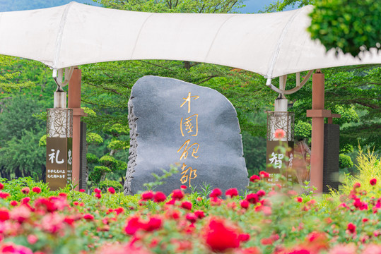 星湖风景区内的绯扇月季花