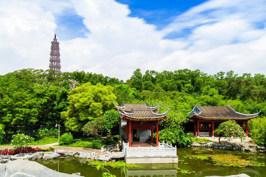 顺峰山公园风光