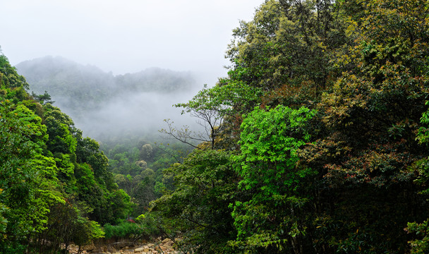 山中云雾