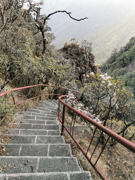 悬崖陡峭的楼梯踏步