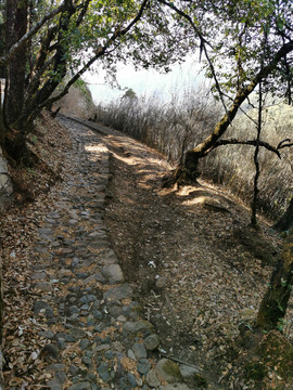 茶马古道古驿道