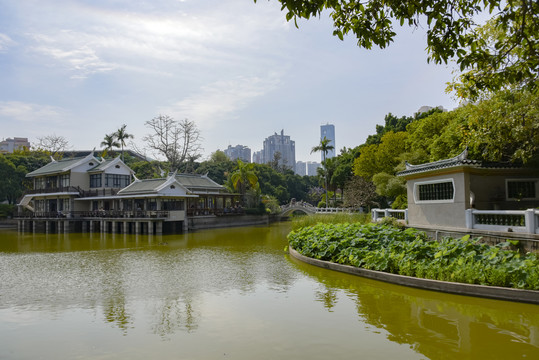 厦门中山公园风光