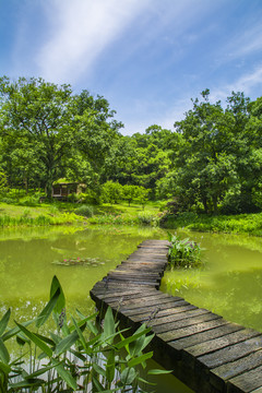 杭州植物园