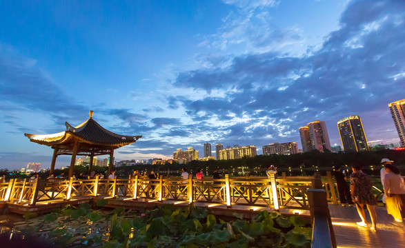 广西南宁南湖公园莲池夜景