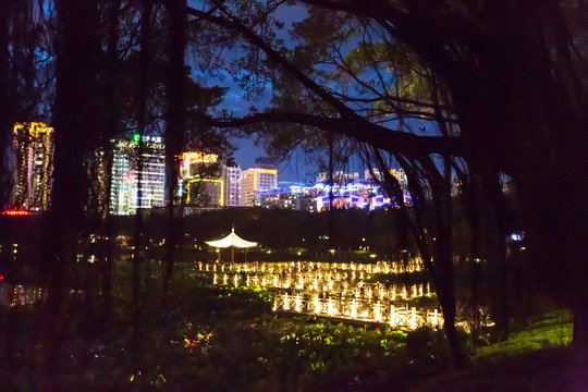 广西南宁南湖公园夜景