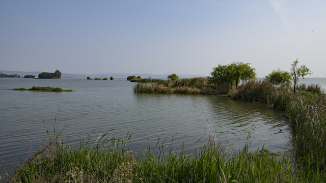 云南晋宁南滇池国家湿地公园