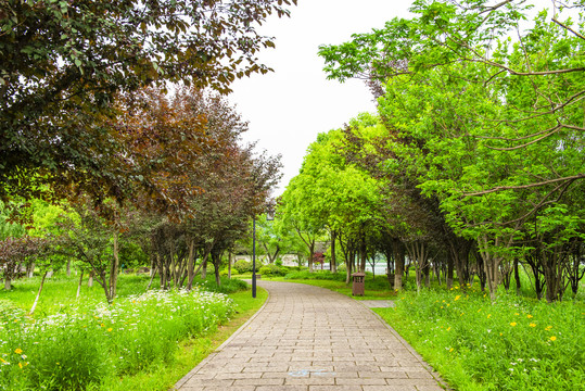 園林小路