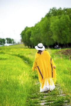 林间小路