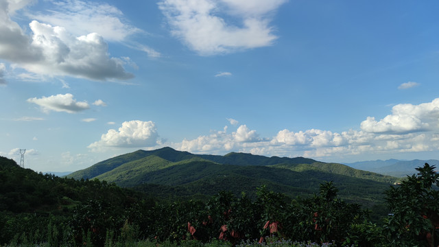 青山