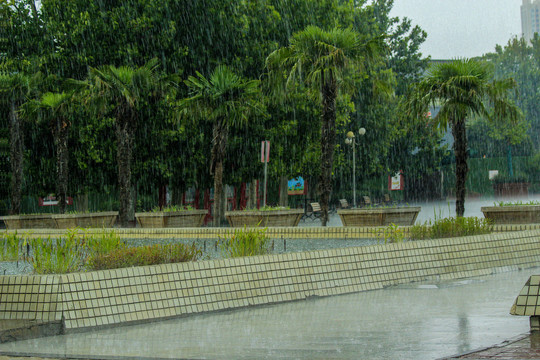 大雨