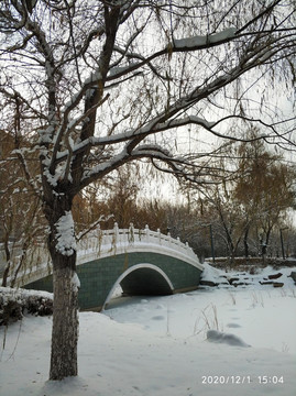 秋冬雪景