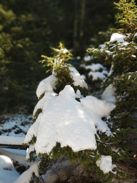 秋冬雪景