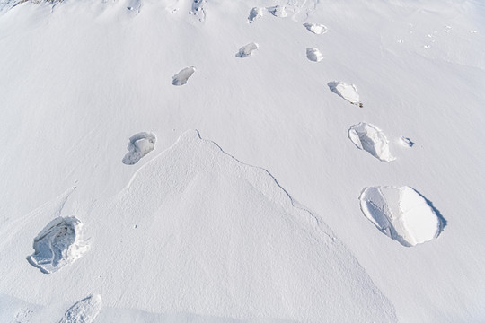 雪原足迹