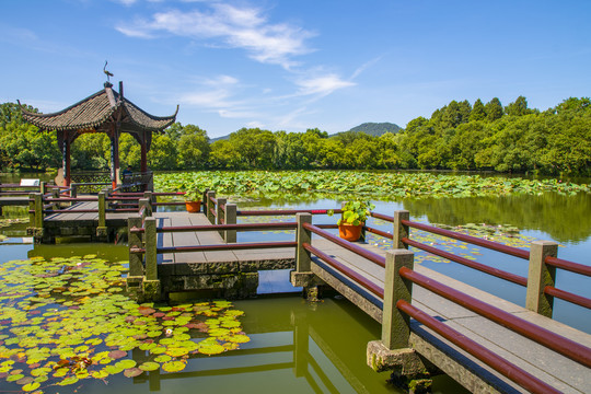 西湖小瀛洲岛