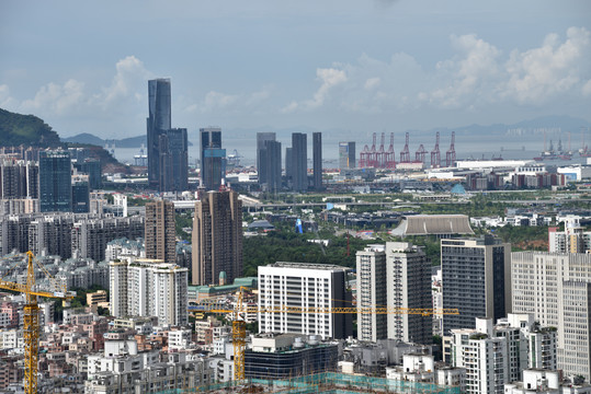 深圳南山城市风光