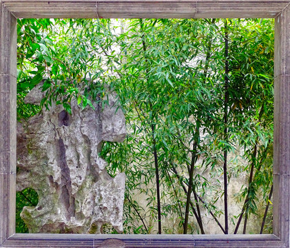 园林窗户绿植