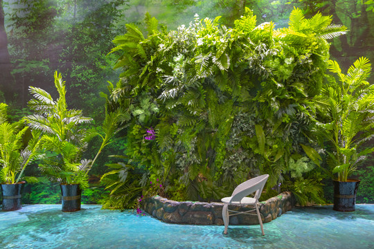 热带雨林庭院设计