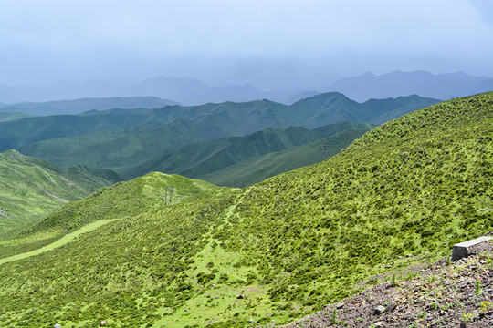 高山牧场