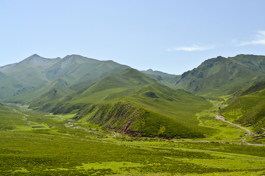 高山草甸