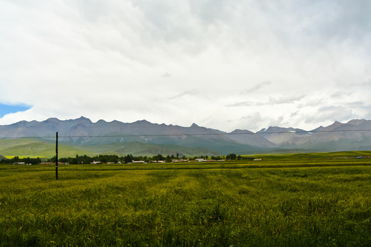 西部风景