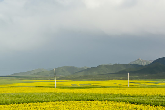 西部风景