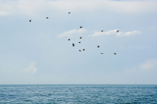 青海湖