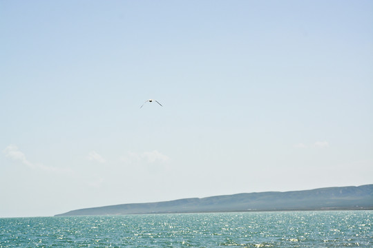 青海湖