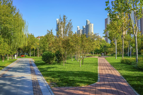 天津南翠屏公园步道