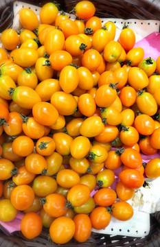 西红柿水果照片