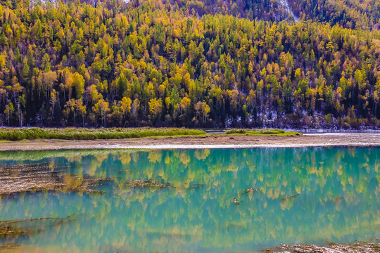 喀纳斯风景区