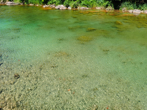 河流波纹