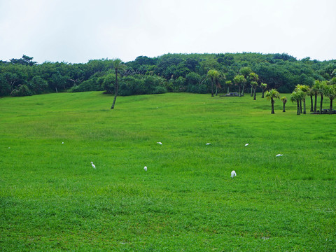 臺灣最南端墾丁鵝鑾鼻公園
