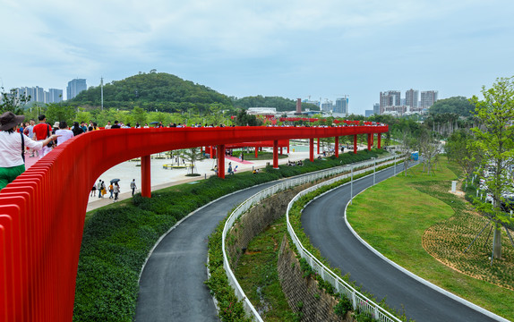 美丽的深圳红桥公园