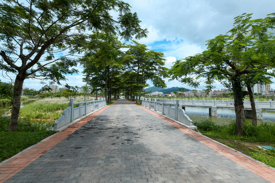 石岩湖湿地公园蓝盈桥风景